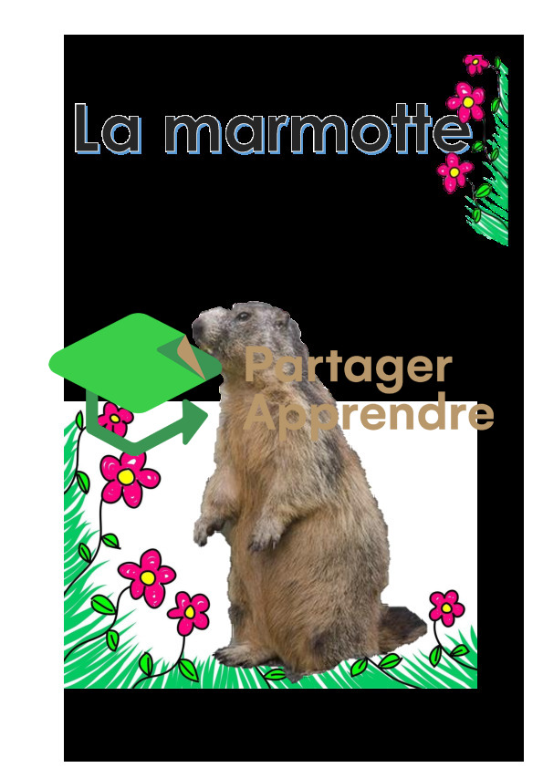 La marmotte_2