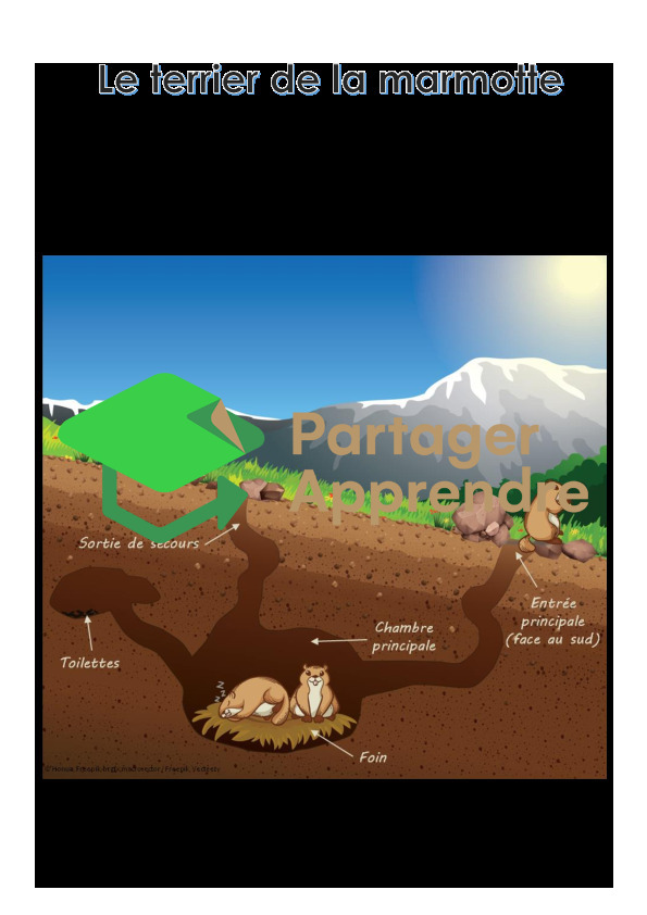 La marmotte_6