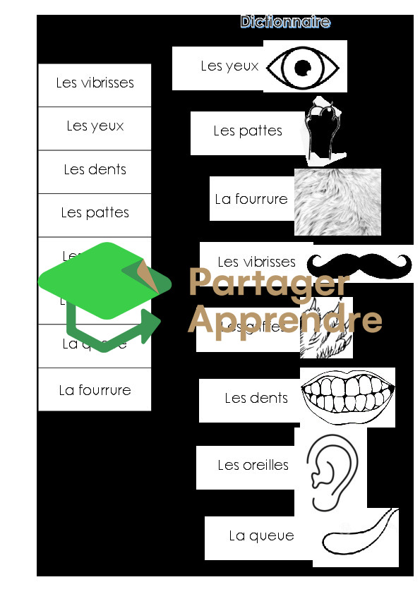 La marmotte_10