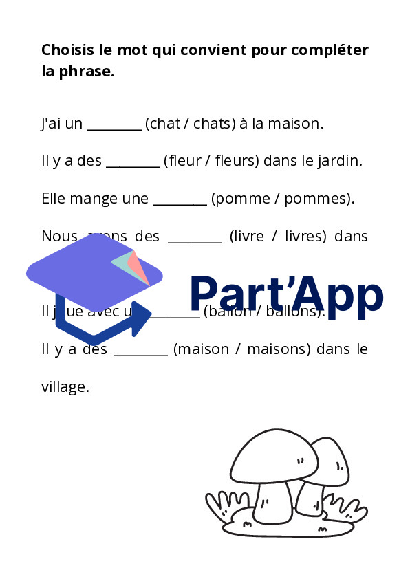 Dossier Singulier – Pluriel | 4P_11