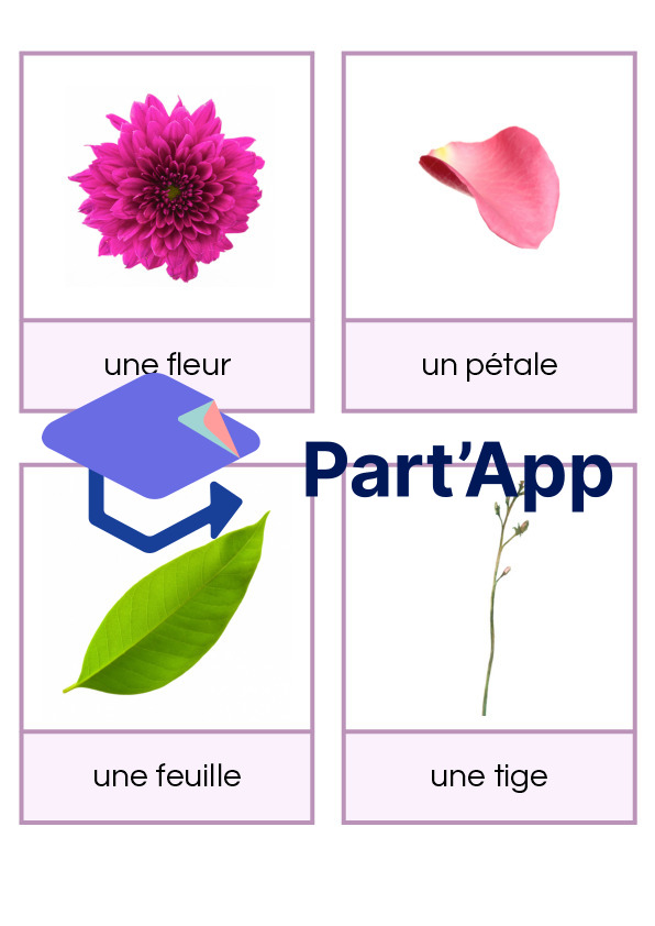 Imagier du printemps_2