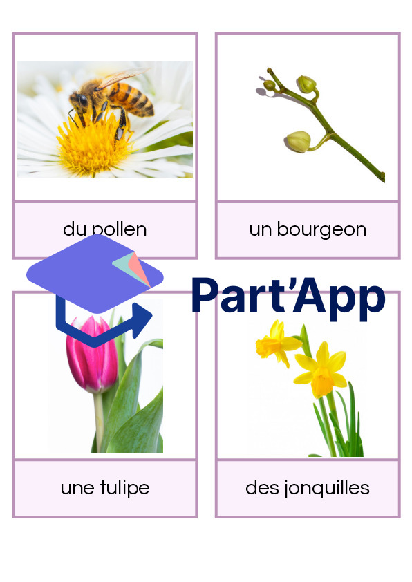 Imagier du printemps_3