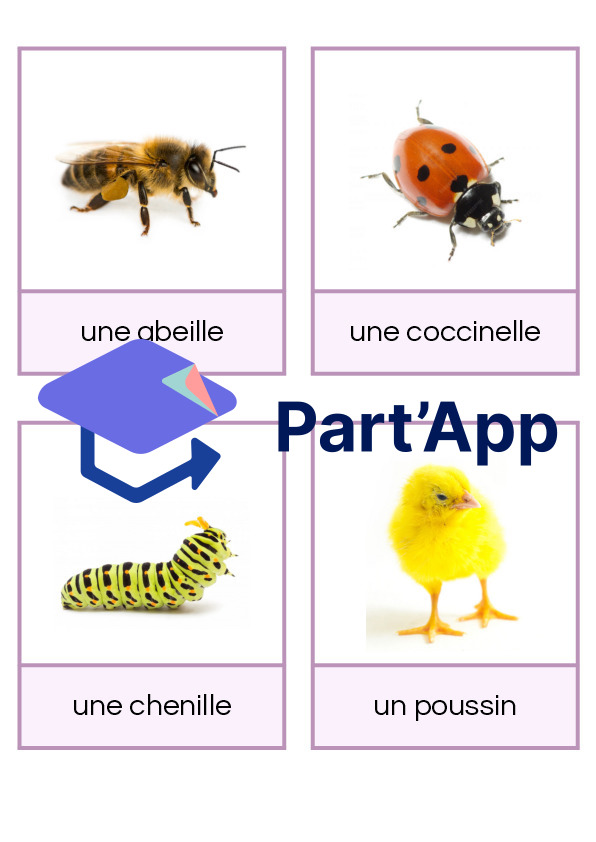 Imagier du printemps_4