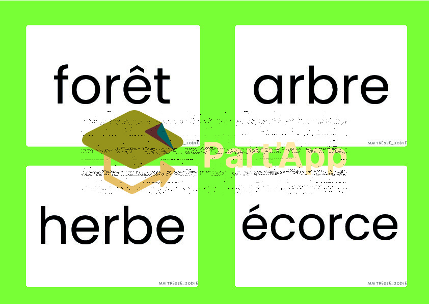 Atelier pour la forêt_5
