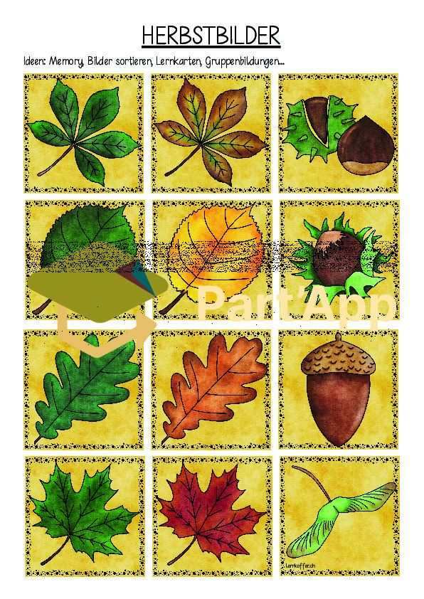 Images d'automne avec arrière-plan_2