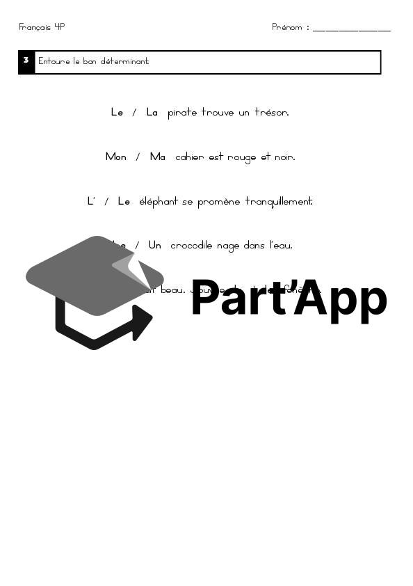 Evaluation 4P - le genre du nom_3