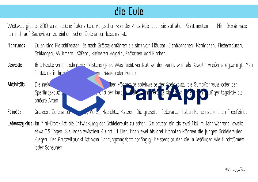 Mini-Book Eulen_132