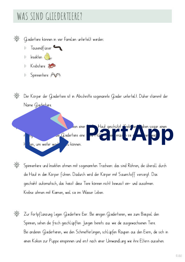 Auf den Spuren der Gliedertiere_5