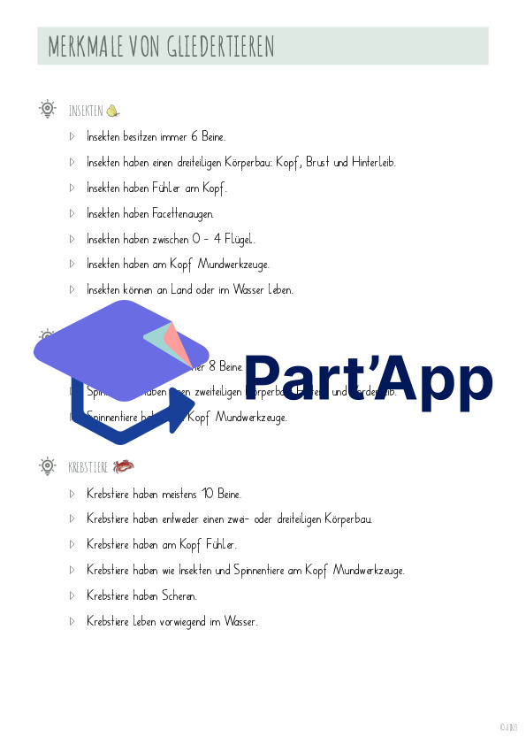 Auf den Spuren der Gliedertiere_6