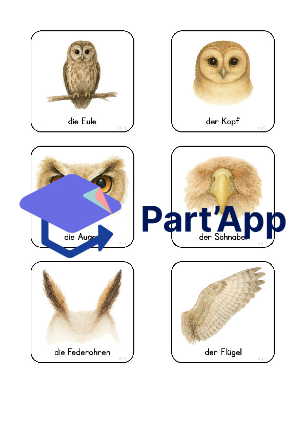 Eule- und Vogel-Wortschatzkarten_7