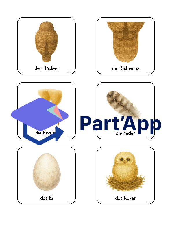 Eule- und Vogel-Wortschatzkarten_8
