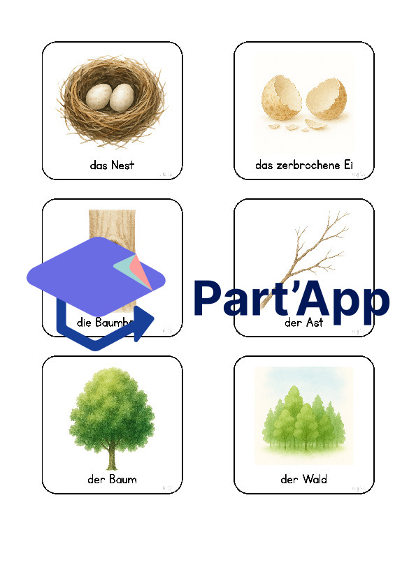 Eule- und Vogel-Wortschatzkarten_9