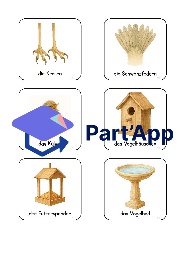 Eule- und Vogel-Wortschatzkarten_5