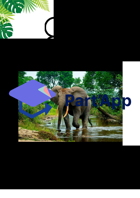 Abécédaire Jungle_6