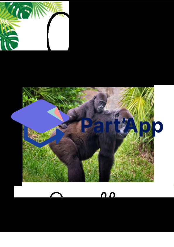 Abécédaire Jungle_8