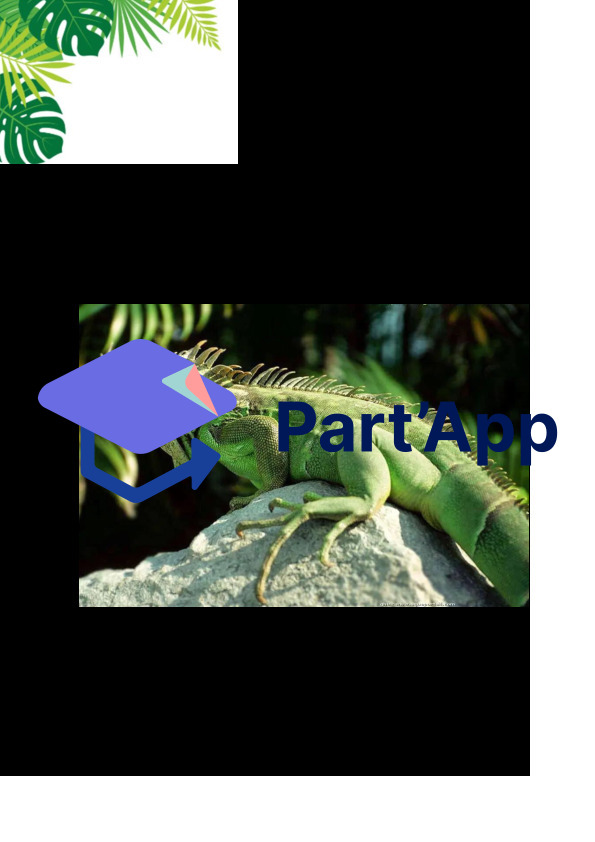Abécédaire Jungle_10
