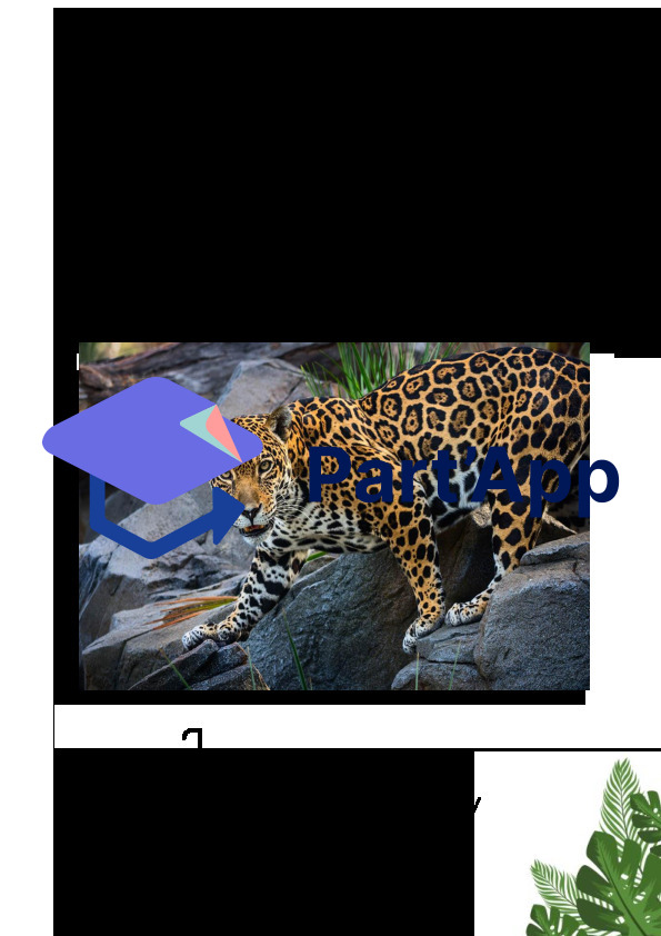 Abécédaire Jungle_11