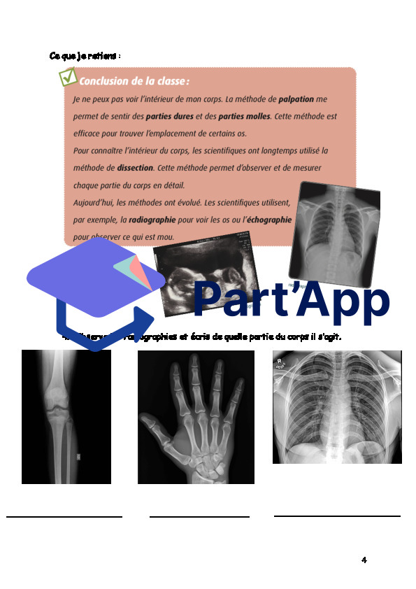 Dossier corps humain 5P_6