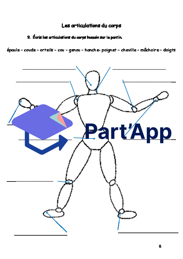 Dossier corps humain 5P_10