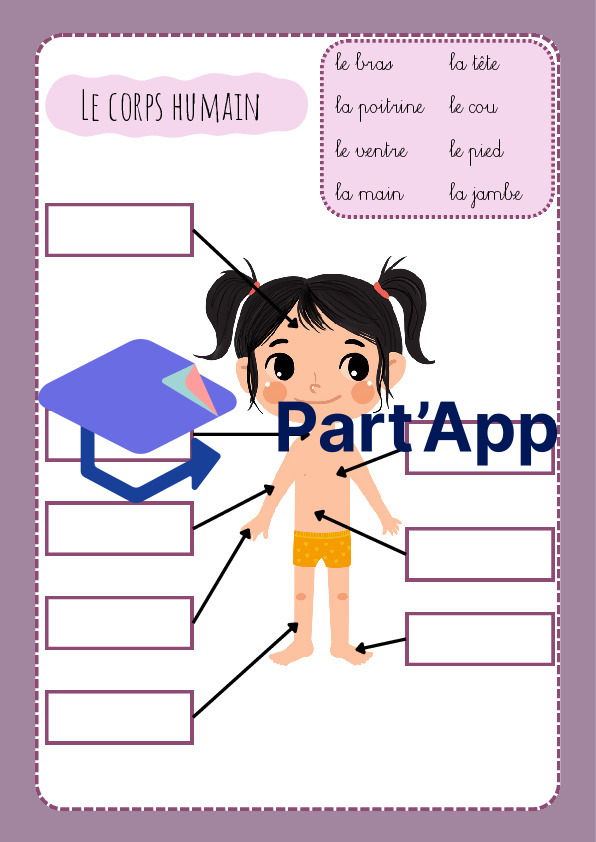 3H/4H: CE - le corps humain_6