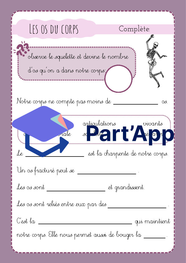 3H/4H: CE - le corps humain_7