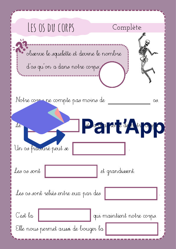 3H/4H: CE - le corps humain_8
