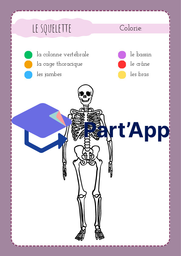 3H/4H: CE - le corps humain_9