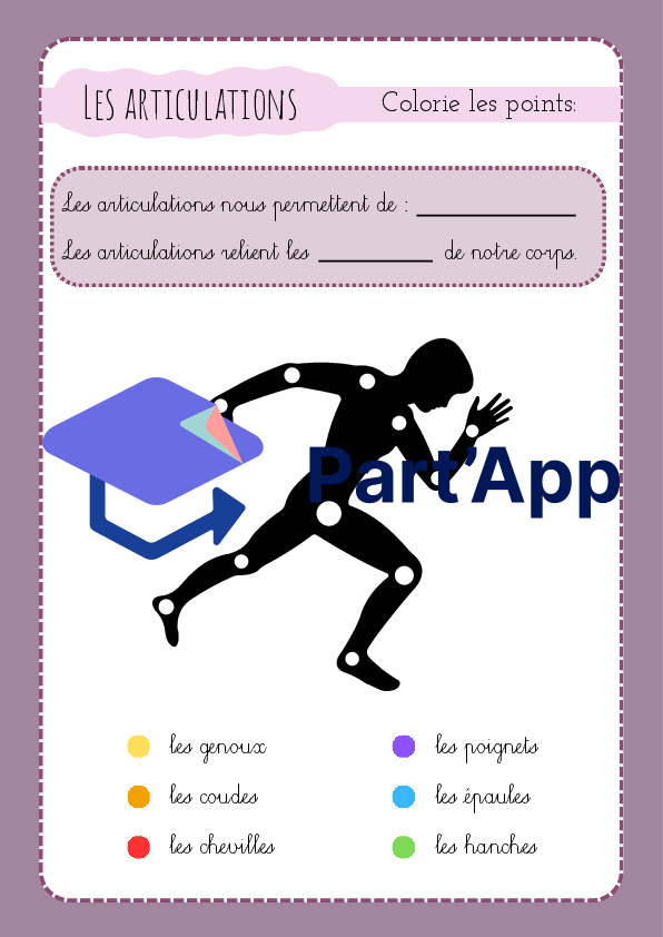 3H/4H: CE - le corps humain_10