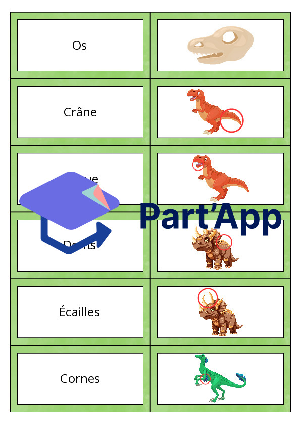 Les dominos des dinosaures_16