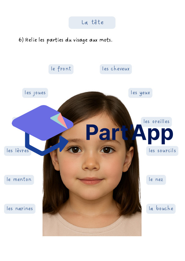 Dossier le corps humain 4P_8