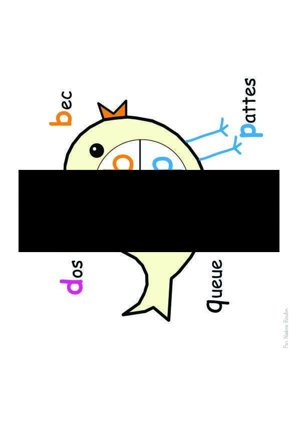 Oiseau des confusions_2