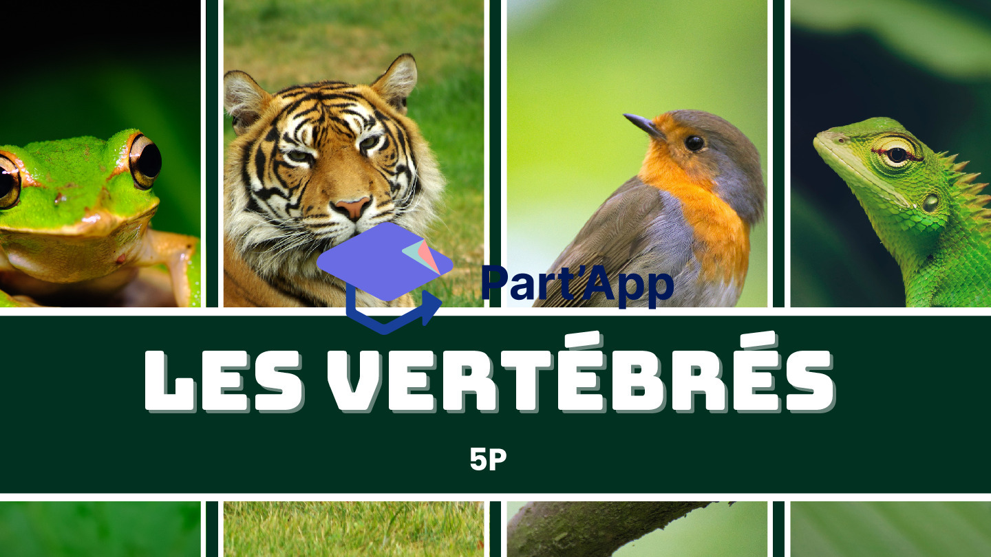 Les vertébrés_2