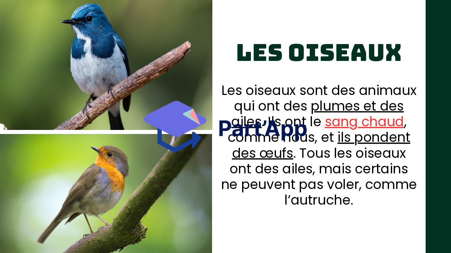 Les vertébrés_4