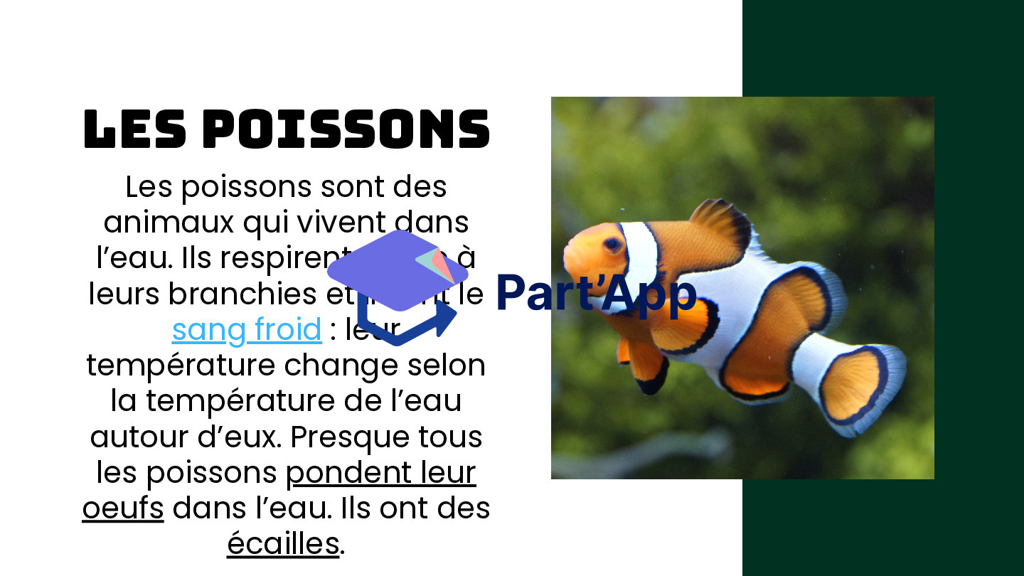 Les vertébrés_5