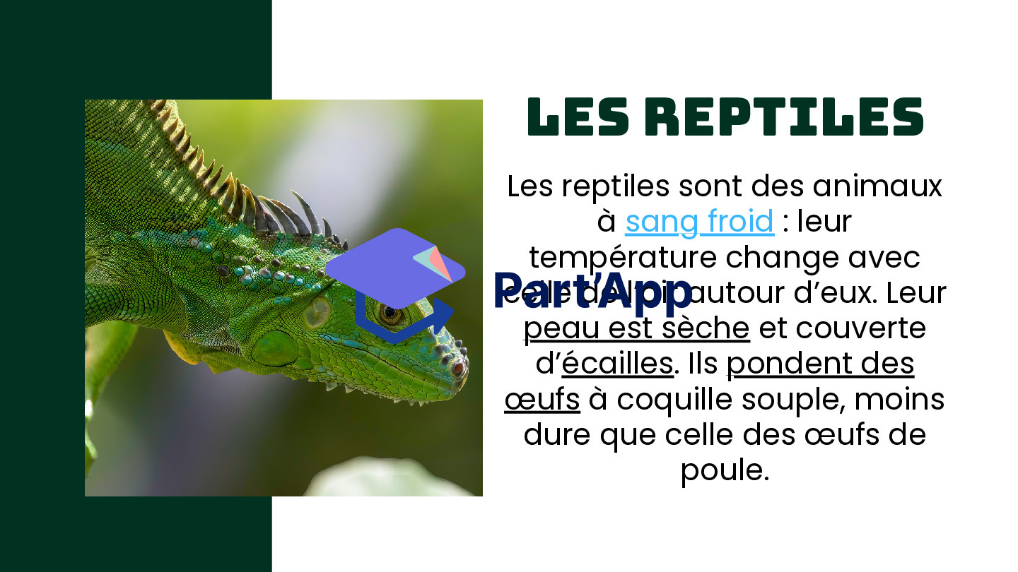 Les vertébrés_6