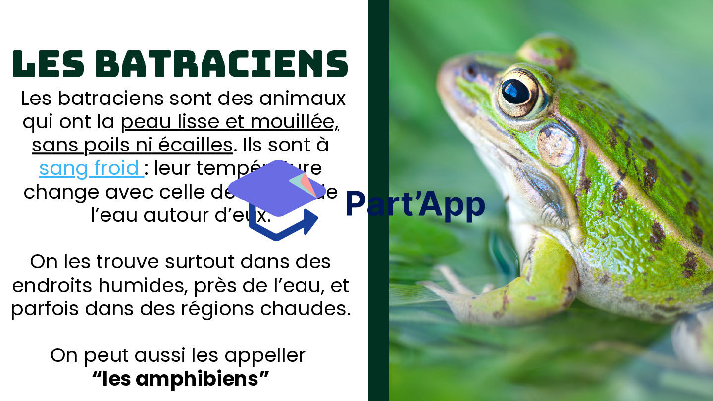 Les vertébrés_7