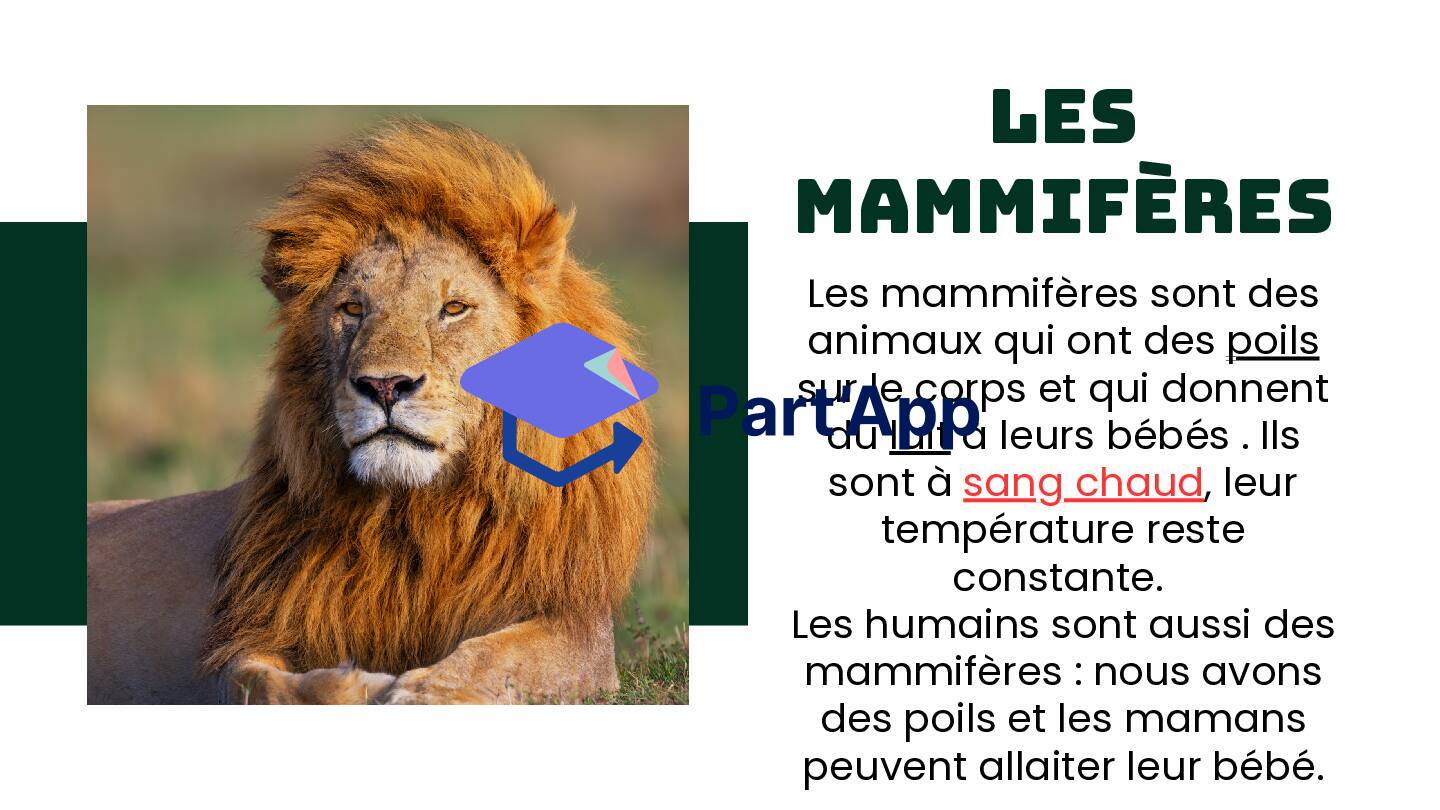 Les vertébrés_8