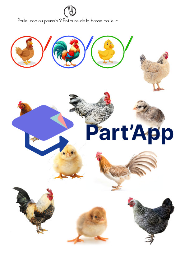 La poule : dossier de sciences 1-2p_3