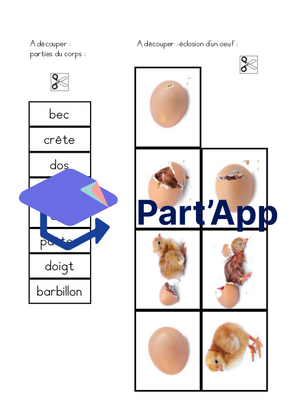 La poule : dossier de sciences 1-2p_11
