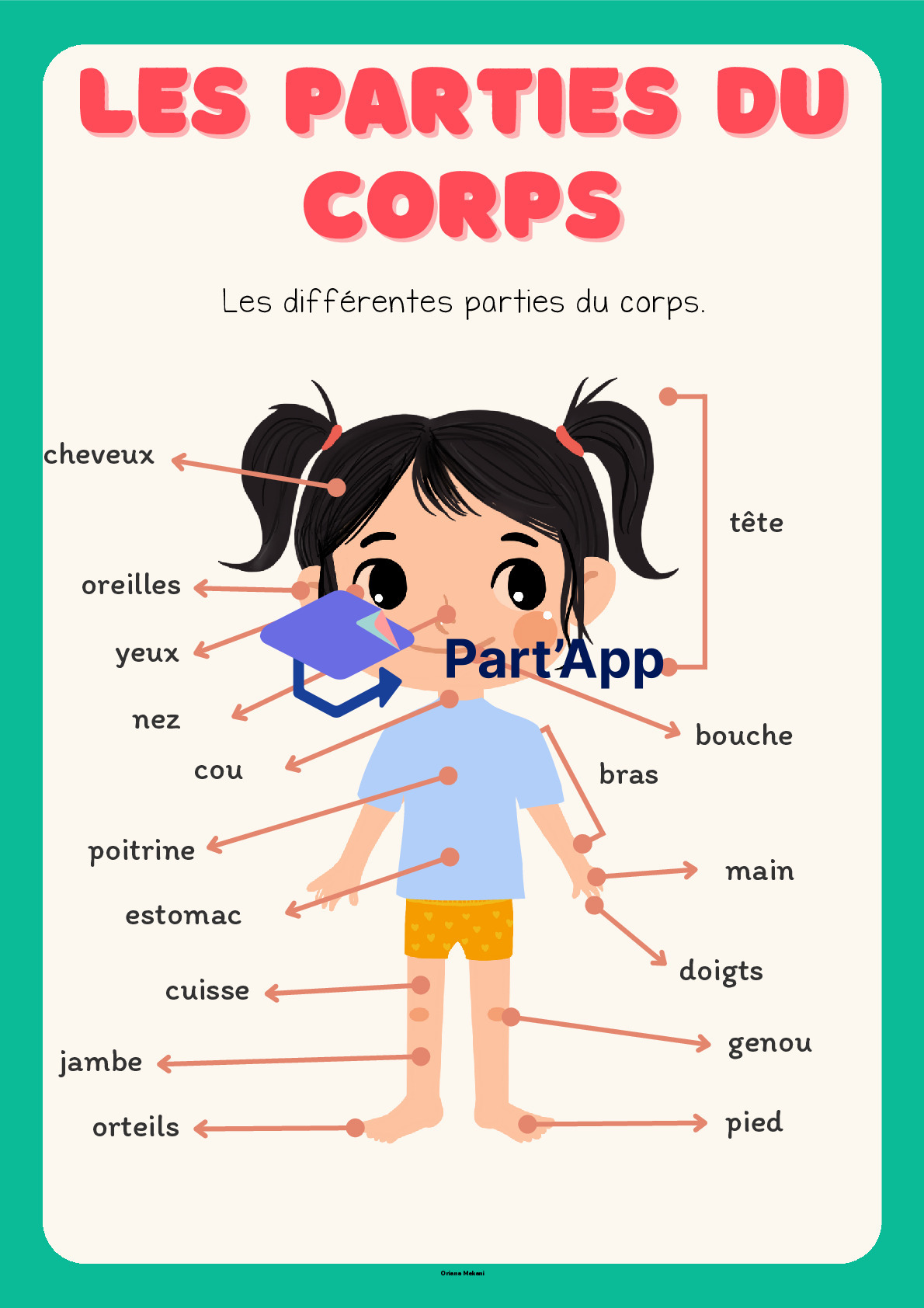 Dossier CE 3-4H sur le corps humain_6