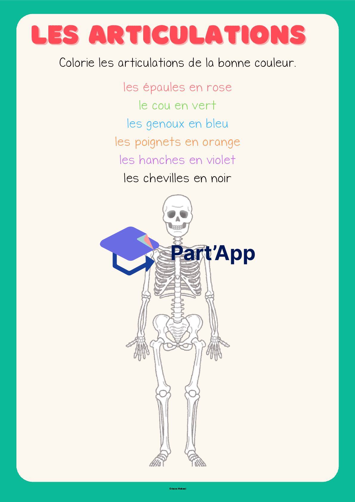 Dossier CE 3-4H sur le corps humain_11