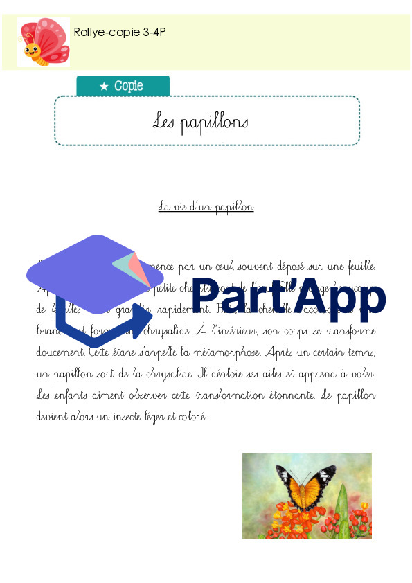 Rallye-copie 3-4P_11