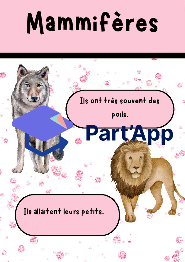 Affiches classification animale_2