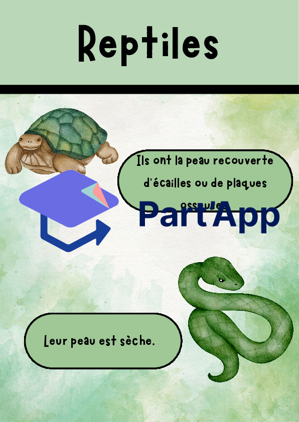 Affiches classification animale_3
