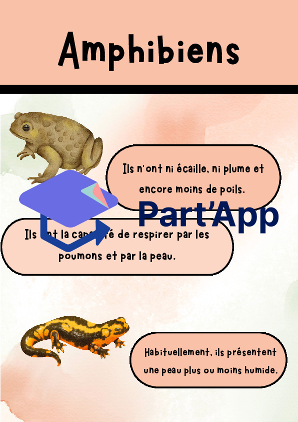 Affiches classification animale_4