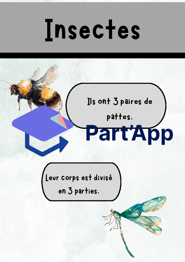 Affiches classification animale_5