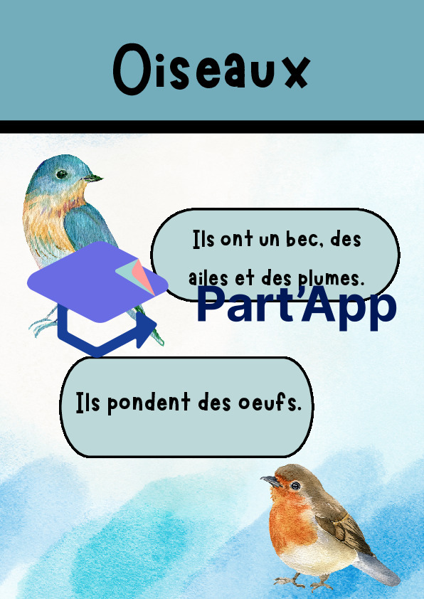Affiches classification animale_6