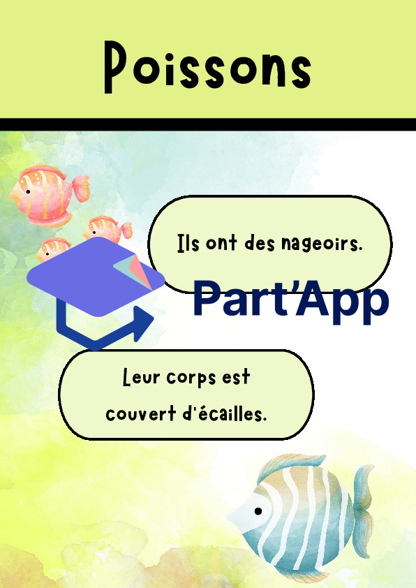 Affiches classification animale_7