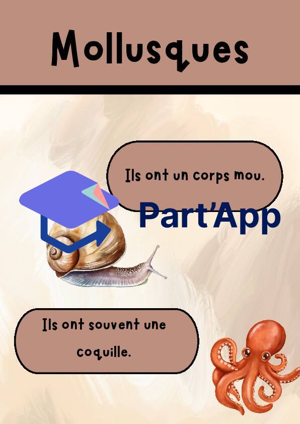 Affiches classification animale_8