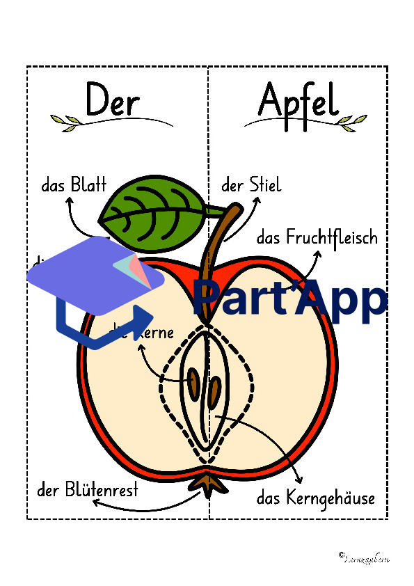 Lapbook Apfel für den Kindergarten_3